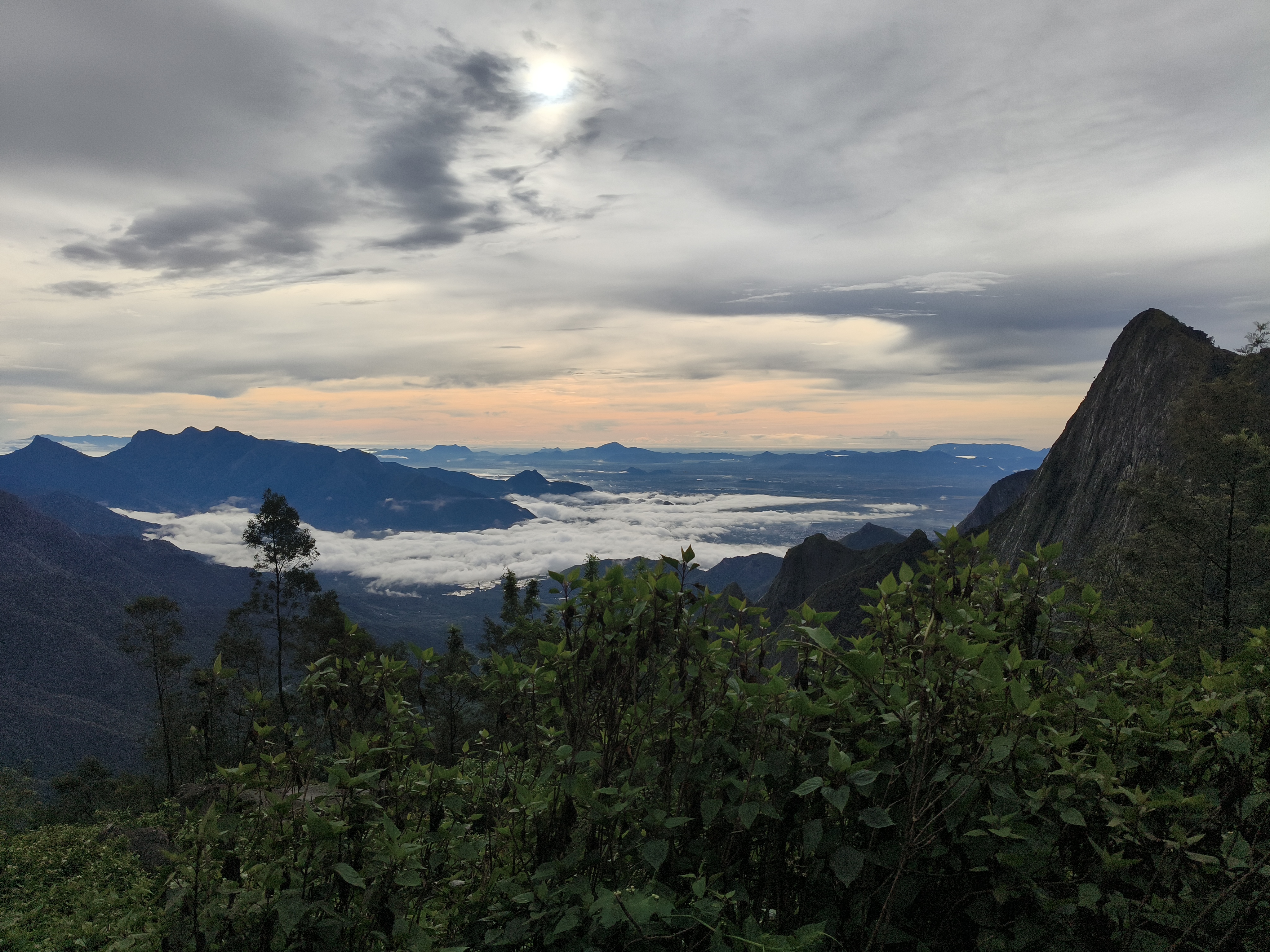 Kolukkumalai sunrise viewpoint covered in white clouds above green tea plantations